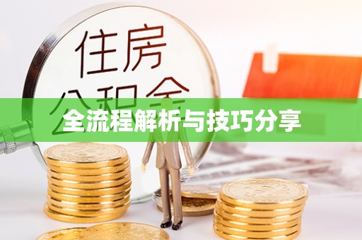 天等全流程解析与技巧分享
