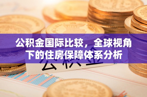天等公积金国际比较，全球视角下的住房保障体系分析