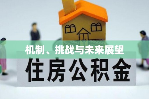 天等机制、挑战与未来展望